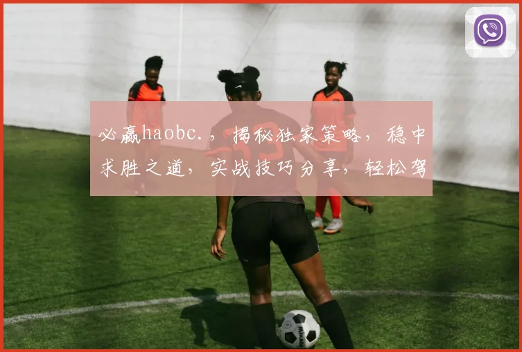 必赢haobc.，揭秘独家策略，稳中求胜之道，实战技巧分享，轻松驾驭