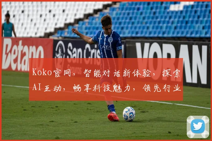 Koko官网，智能对话新体验，探索AI互动，畅享科技魅力，领先行业解决方案